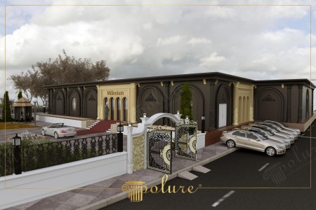 Armonia Antracite e Oro: Design Neoclassico Moderno per Esterni
