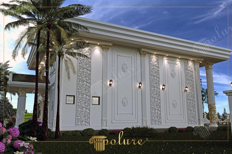 Neoclassical Villa Exterior with Polyurethane Reliefs and Columns