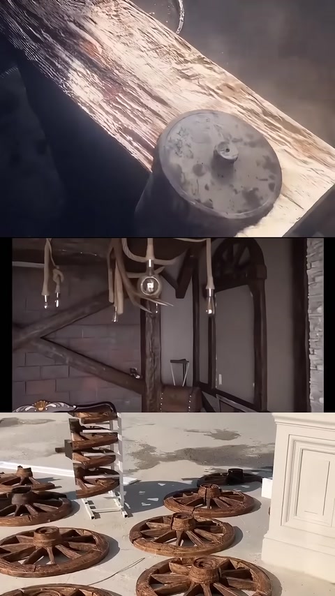 Sono mostrate le texture degli anelli e della corteccia sull'estremità di un tronco rotondo
