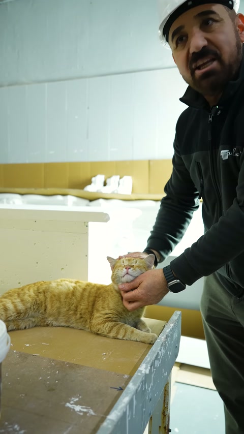 Un maestro fornisce spiegazioni nell'officina con esempi di profilo bianco.