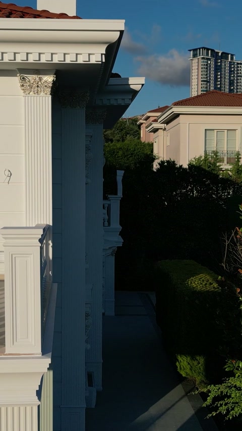 Tall fluted pilaster and ornate capital accent a facade corner