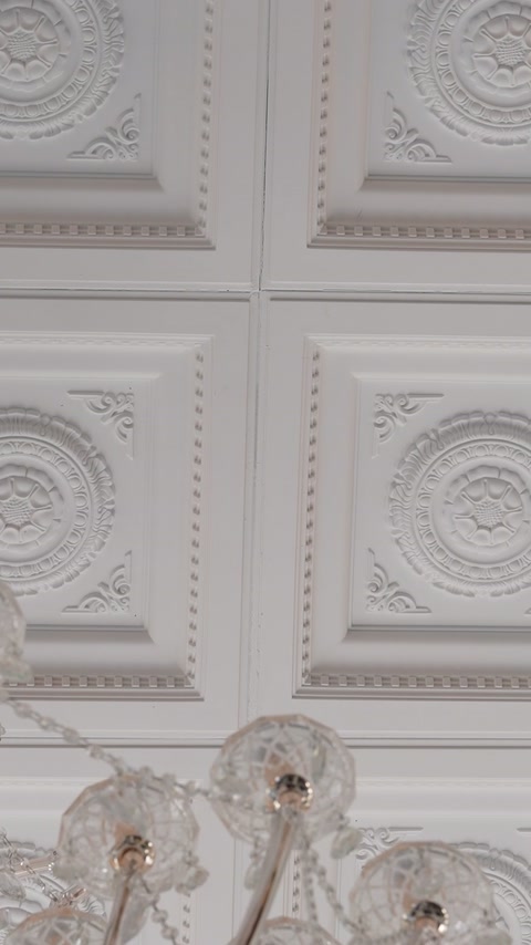 Decorative ceiling panels combine moulded borders, rosettes, and corner ornaments