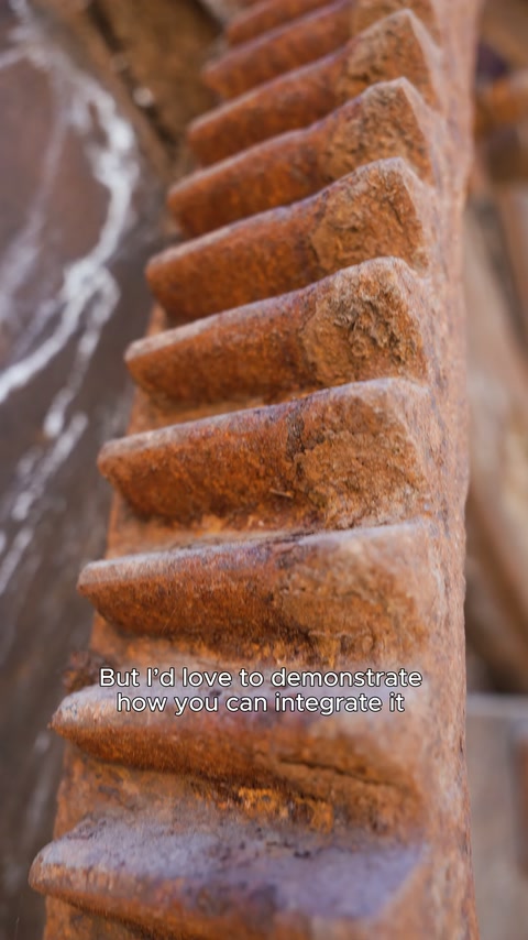 The embossed surface of the weathered brown toothed edge is examined up close