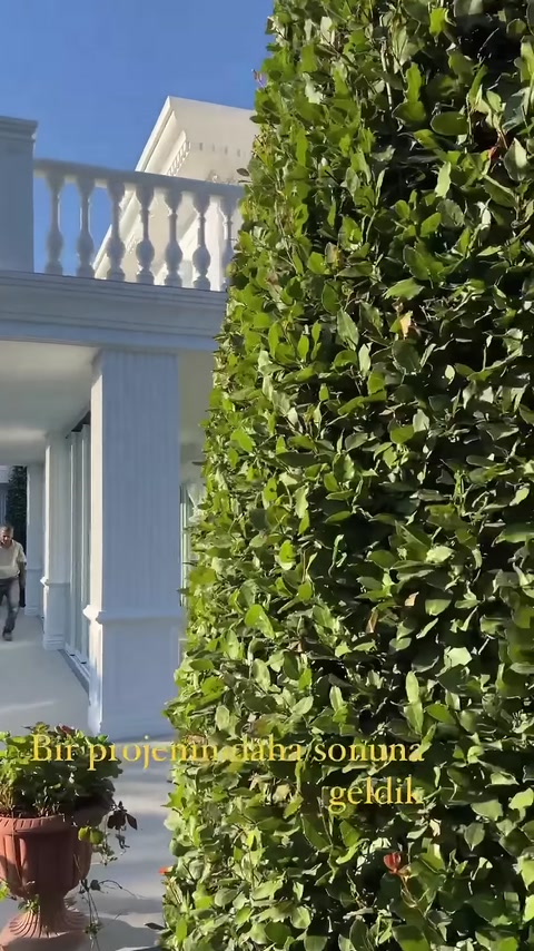 Progettazione della facciata esterna di una villa in poliuretano con disegno architettonico 3D