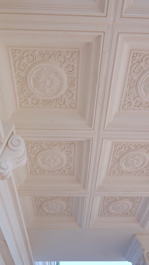 Ceiling medallion and column capital combination close-up