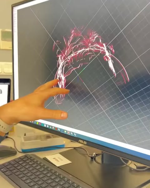 Red scan data traces the contours of an ornate design