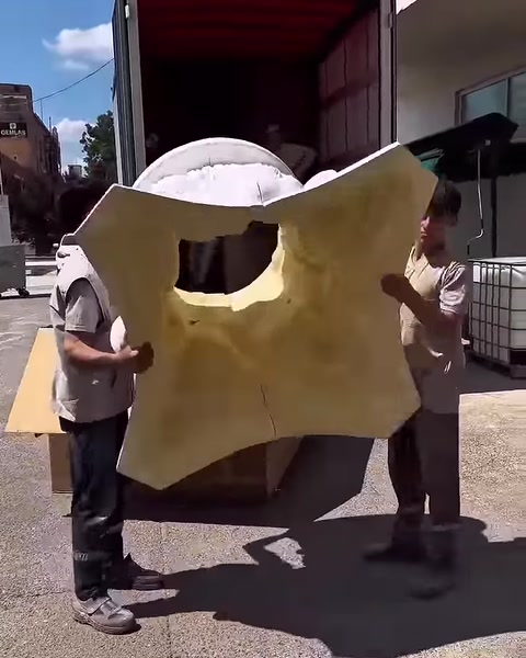 Sono visibili la cavità interna e la superficie posteriore gialla del capitello.