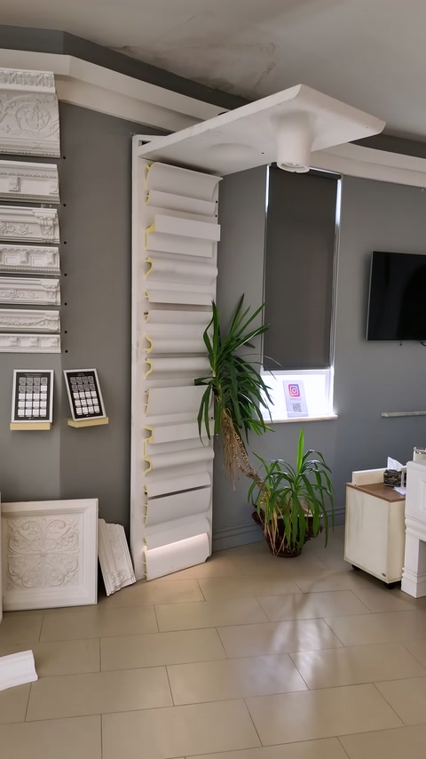 High-profile samples are displayed in a showroom corner arranged with plants.