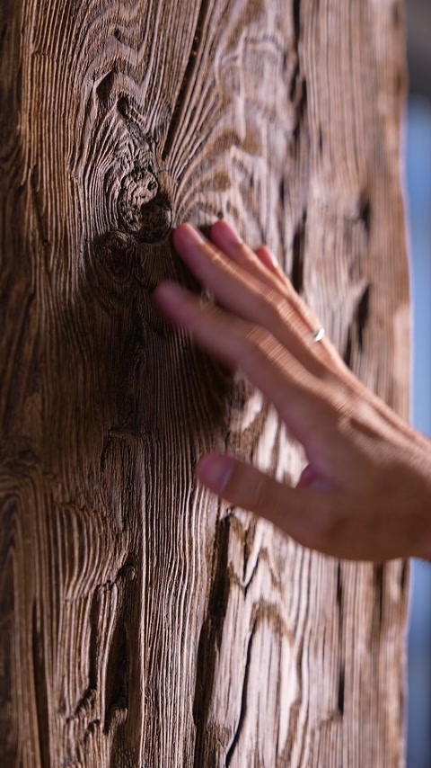 Fingers trace deep knots across a vertically mounted faux timber panel
