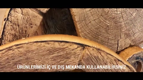 Distinctive crack and bark textures on a round log surface