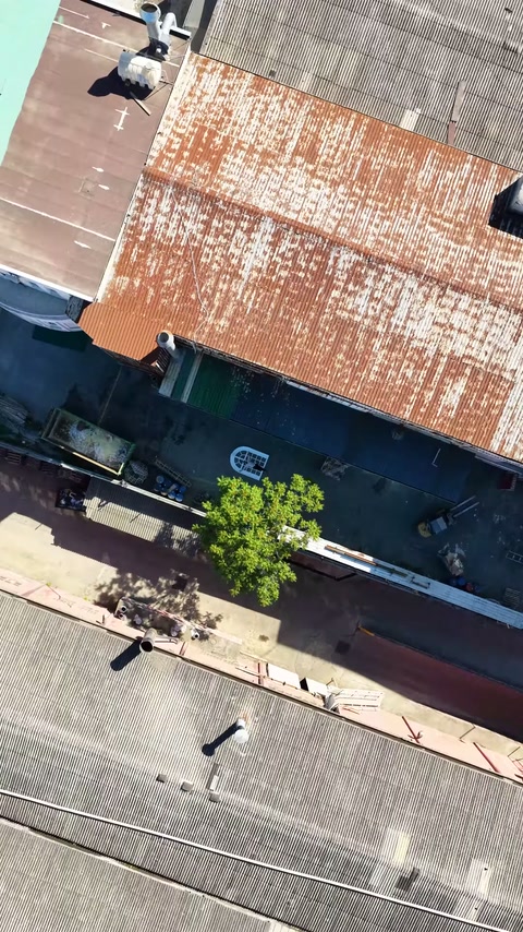La telecamera ascende oltre il cortile verso i tetti industriali vicini