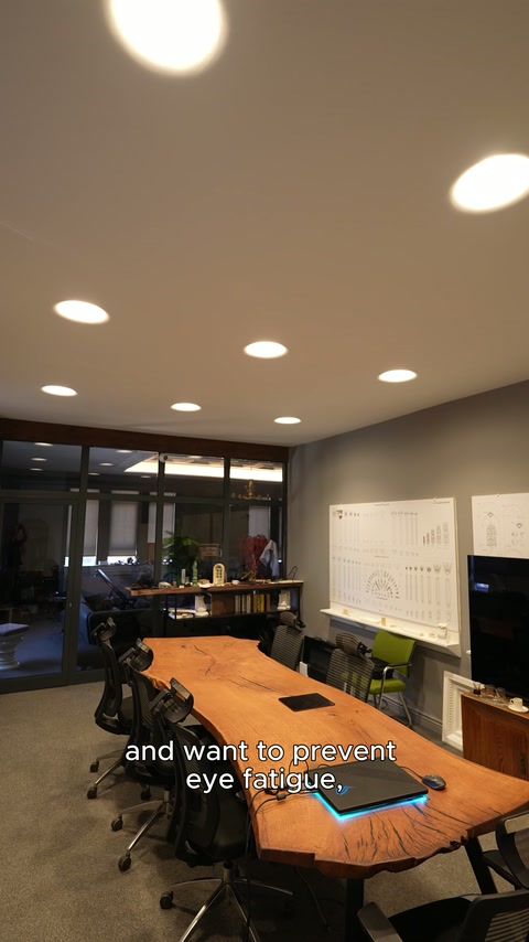 Elementi amorfi a soffitto insieme a luci circolari sono visibili in una sala riunioni