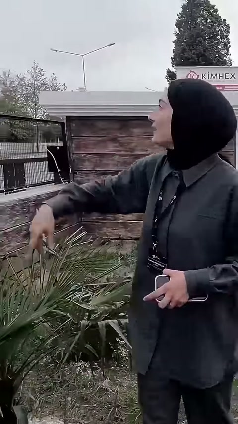 The presenter explains the columns along the garden edge.