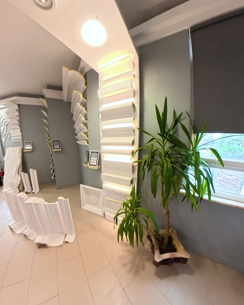 Showroom entryway with wall panels and decorative plant display