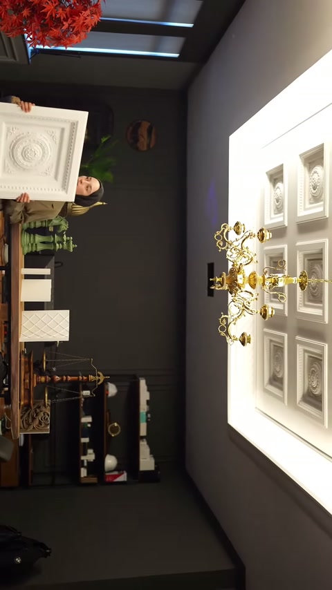 Il campione di cupola con centro in rilievo viene mostrato insieme alla disposizione del soffitto illuminato.