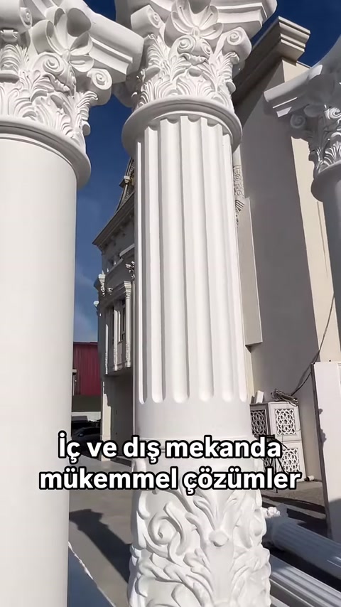 Il fusto scanalato della colonna e il dettaglio del capitello curvo sono in evidenza