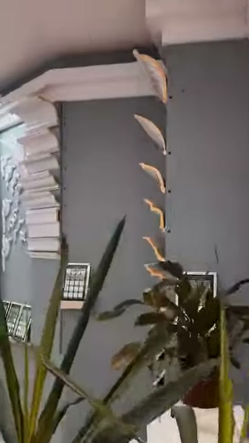 White cornice sections are arranged in a series on an arched stand behind plants