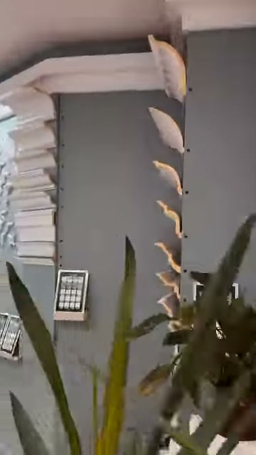 Arched cornice samples are displayed with plants in a showroom corner