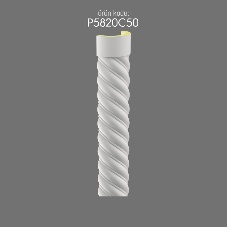 P5820C50 Burgulu Sütun POLURE 2026 FİYAT LİSTESİ